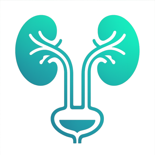 泌尿科.png__PID:0af3639b-13cd-4fe8-b105-bae815714564
